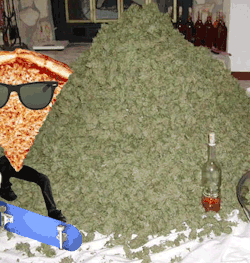 tumblr_mg4socp1ri1rmgioyo1_250.gif