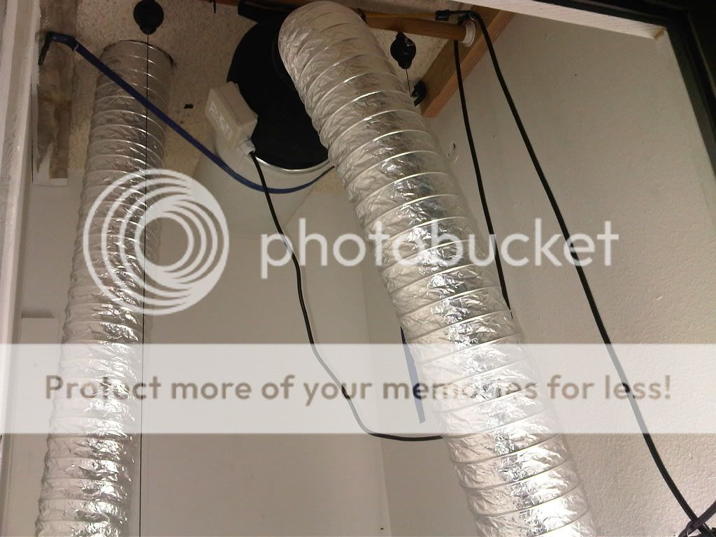 IMG00040-20110612-12251.jpg