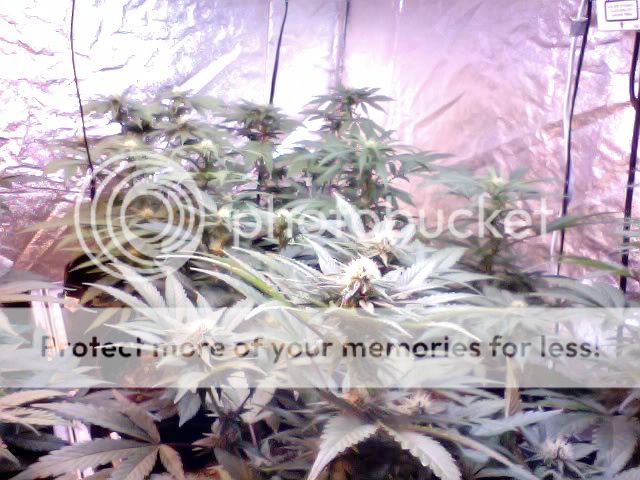 Photo9-2.jpg