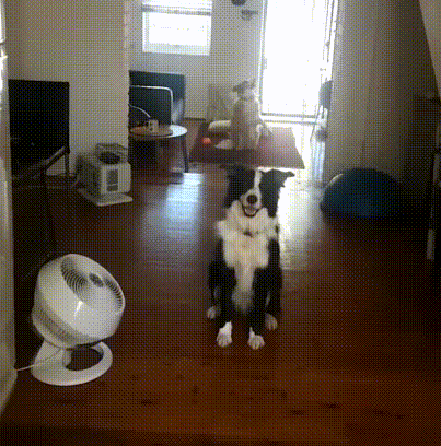 gifs_20.gif