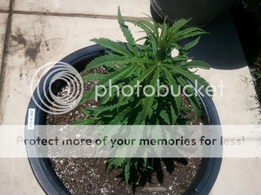 WP_000186.jpg