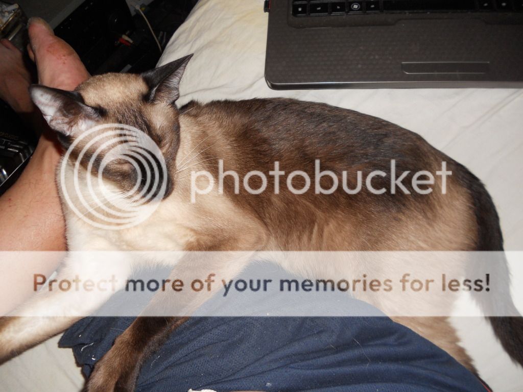 DSCN4996.jpg