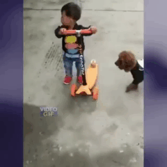 gifs_20.gif