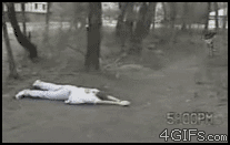 gifs_06.gif