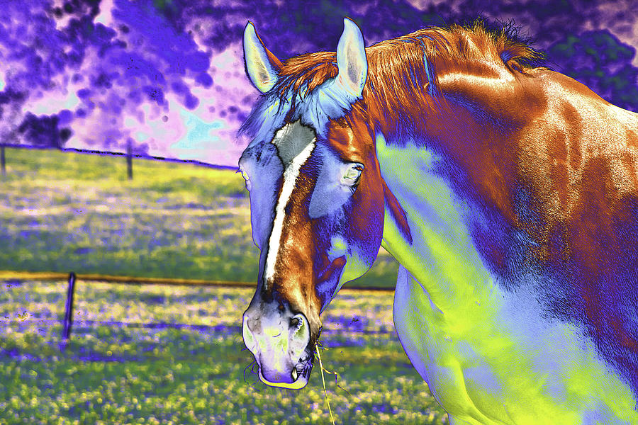 psychedelic-horse-peter-lloyd.jpg
