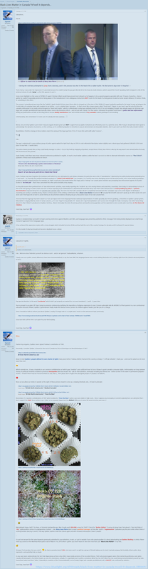 RACIST-Troll-Accommodation-on-Blue-Light-Org-2020-Jun-9-1200x4616.png