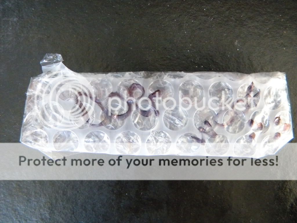 DSCN0732.jpg