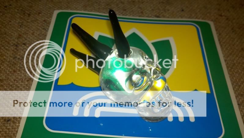 2011-06-24_19-47-02_873.jpg