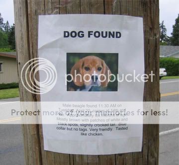 Dog20Found.jpg