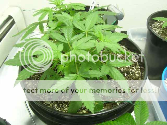 DSCN1092.jpg