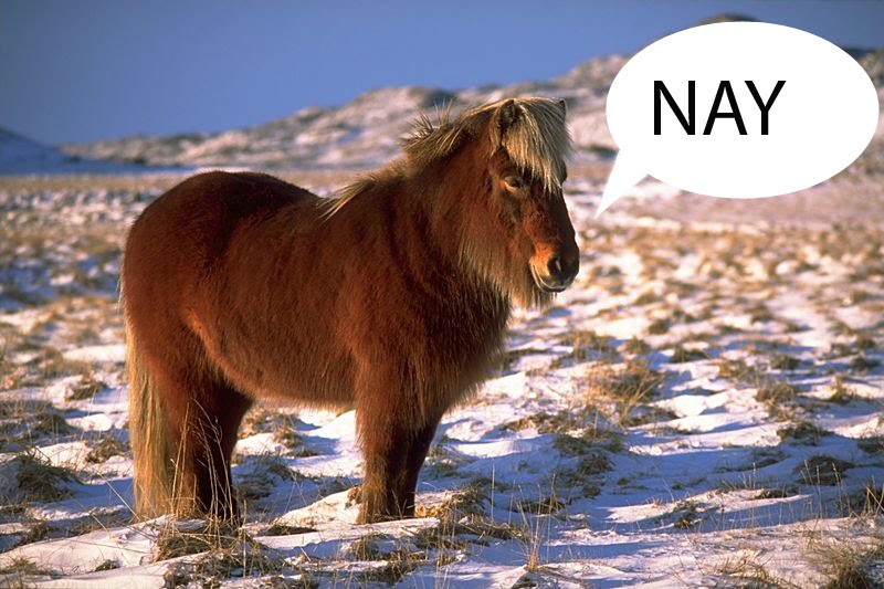 NayHorse.jpg
