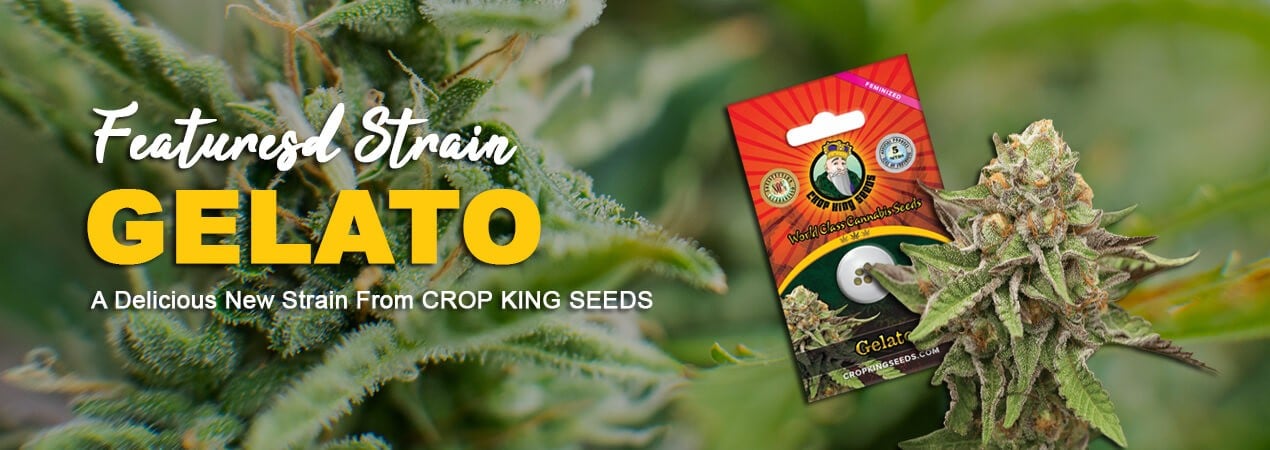 www.cropkingseeds.ca