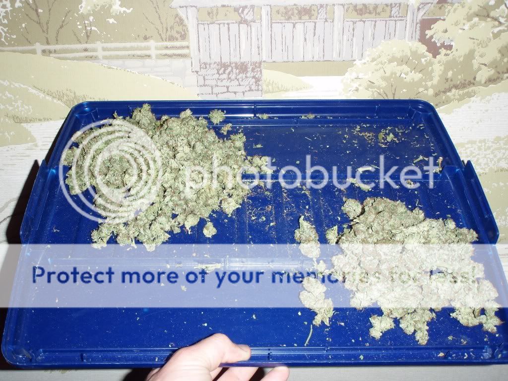 purekushoutdoor3.jpg