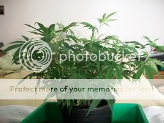 4-22-11045.jpg