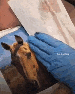 1662993652_10.gif