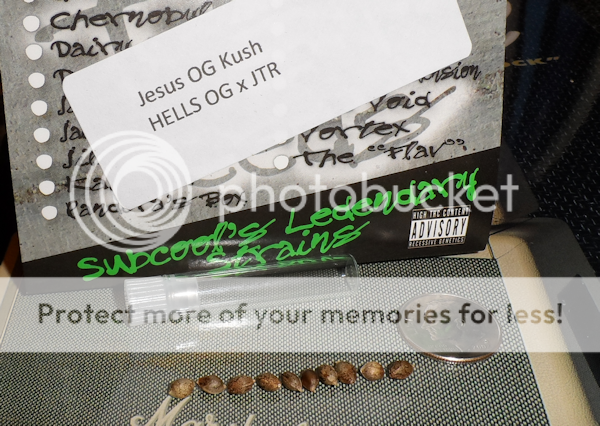 SeedsTGAJOGK_zps05c16ec7.png
