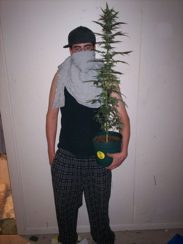 Plant.jpg
