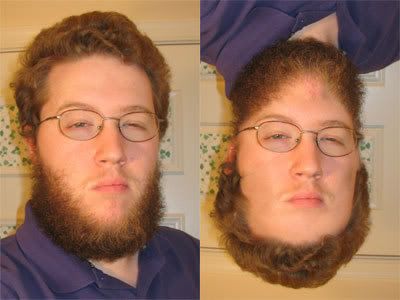 1212899709543.jpg