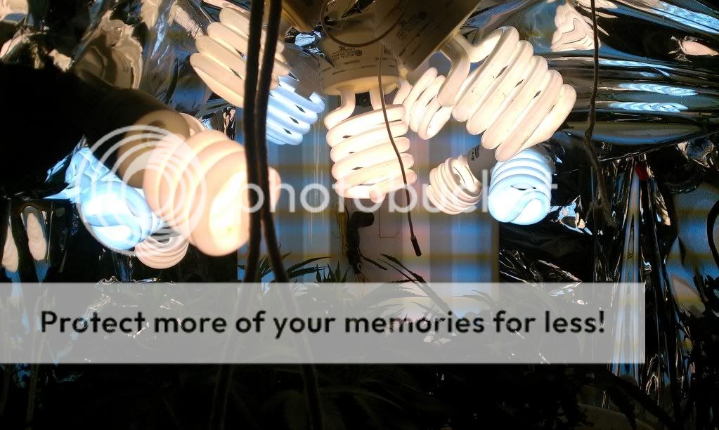 LIGHTS.jpg