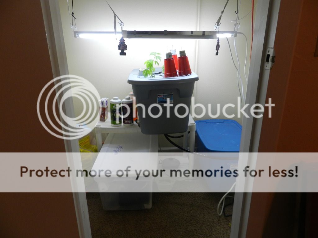 DSCN1479.jpg