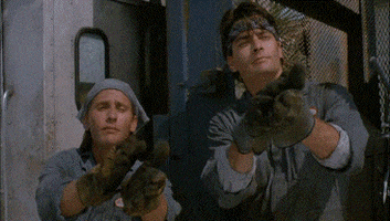 200_s.gif
