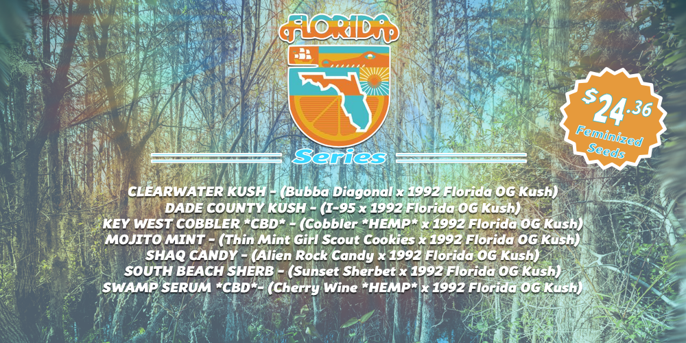 Florida%20Series_zpswzrrqqr8.png