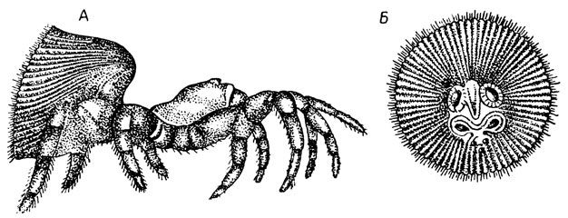 059ca495b8f6f8c617d73852e12b45cd.jpg