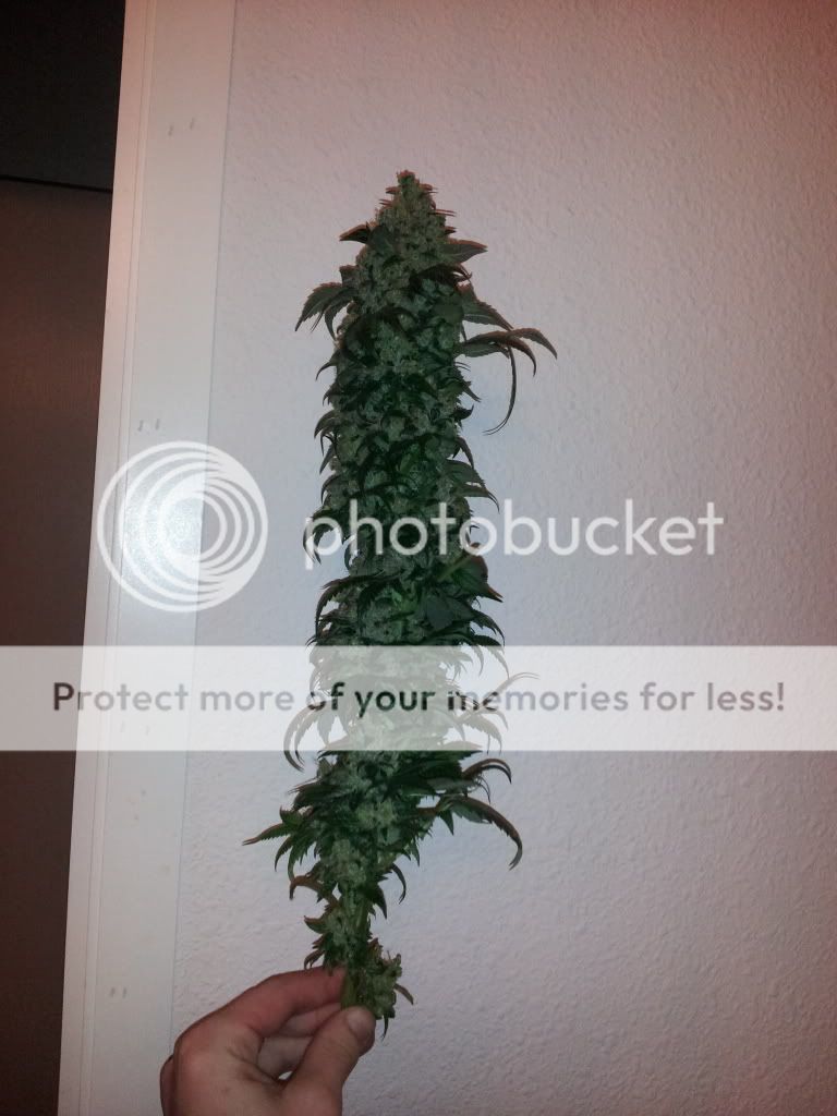 20130114_081306.jpg