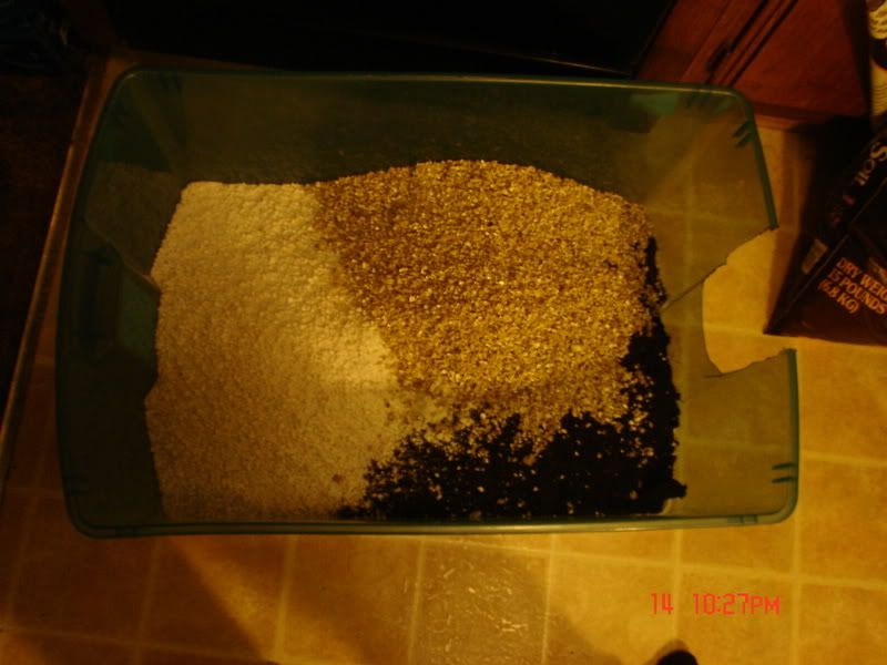 Picture009.jpg