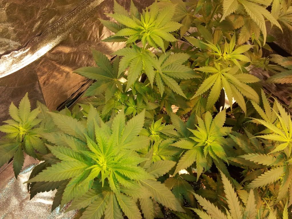 20111223_023934.jpg