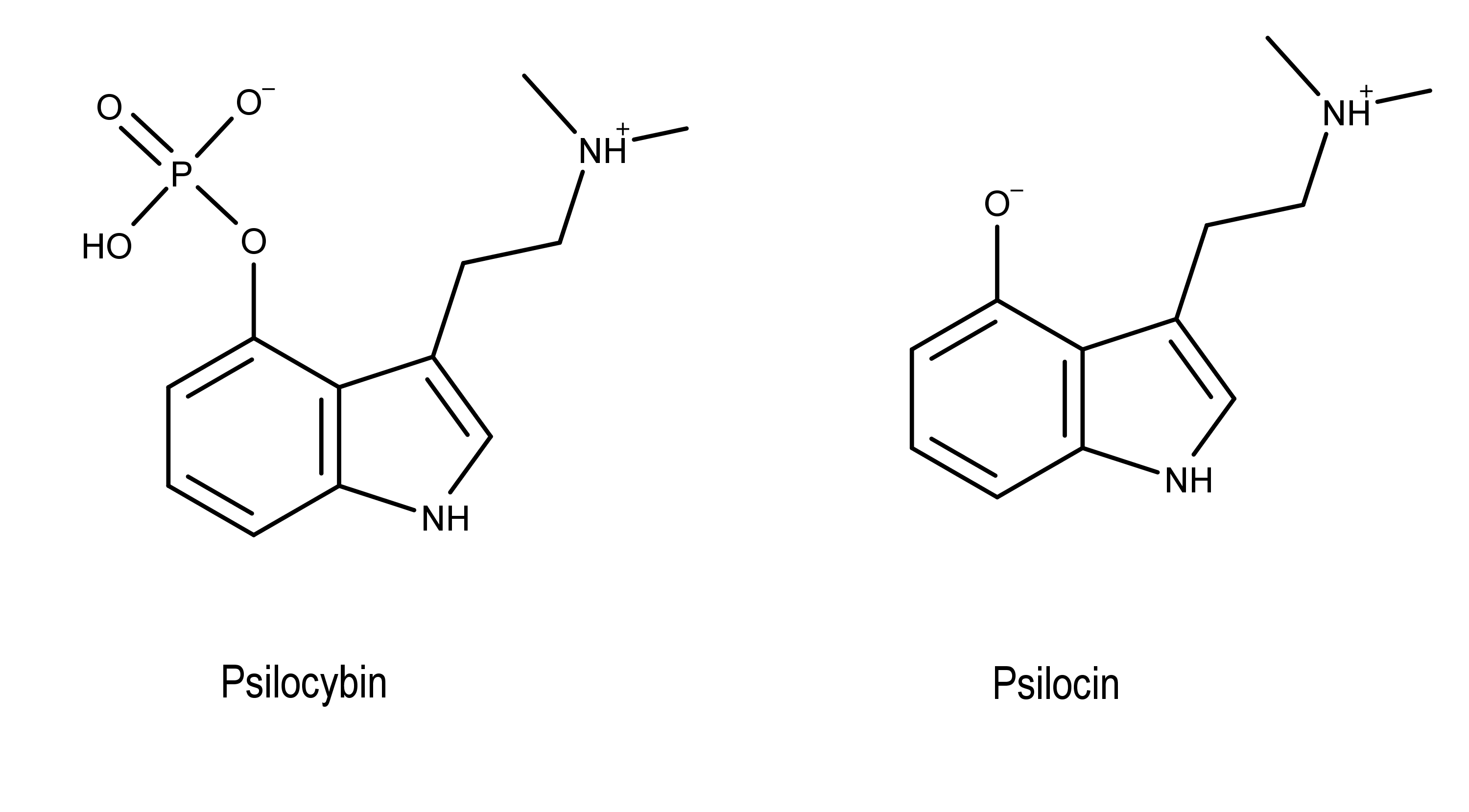 3000-psilocybin-psilocin-3.png