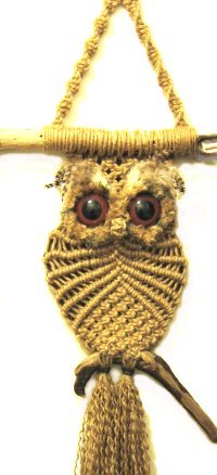 allnat-owl-medium.jpg