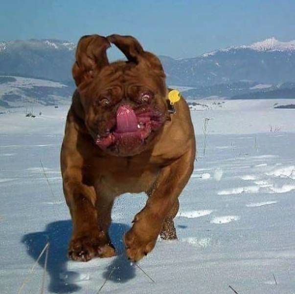 acid_picdump_68.jpg