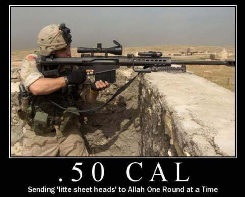 barrett50cal.jpg