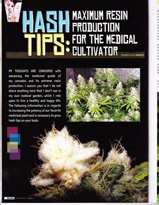 538207224-hash_tips_Page_1.jpg
