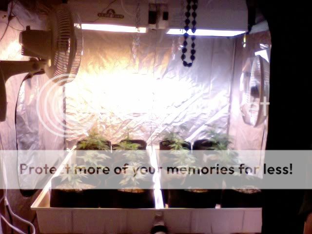Photo58.jpg