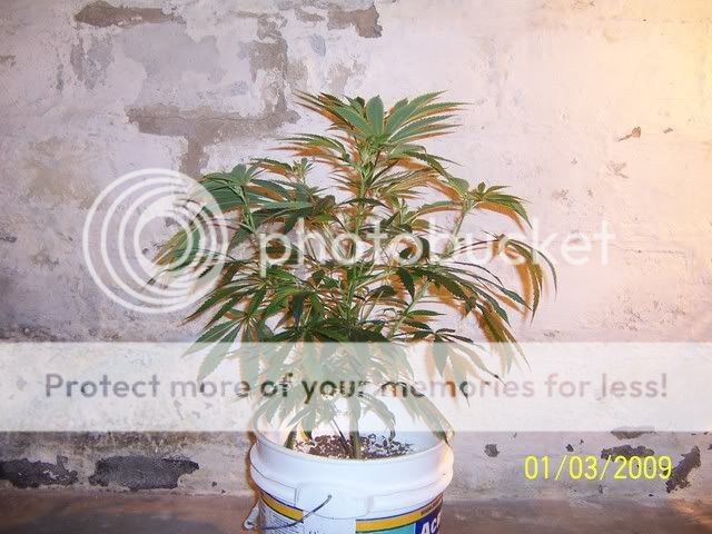 100_0844.jpg