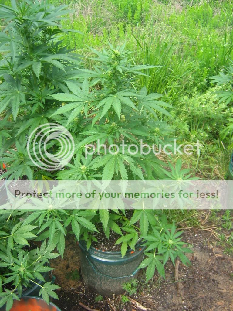 IMG_0026.jpg