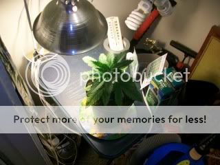 100_0527.jpg