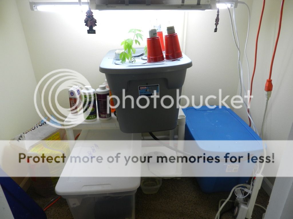 DSCN1478.jpg