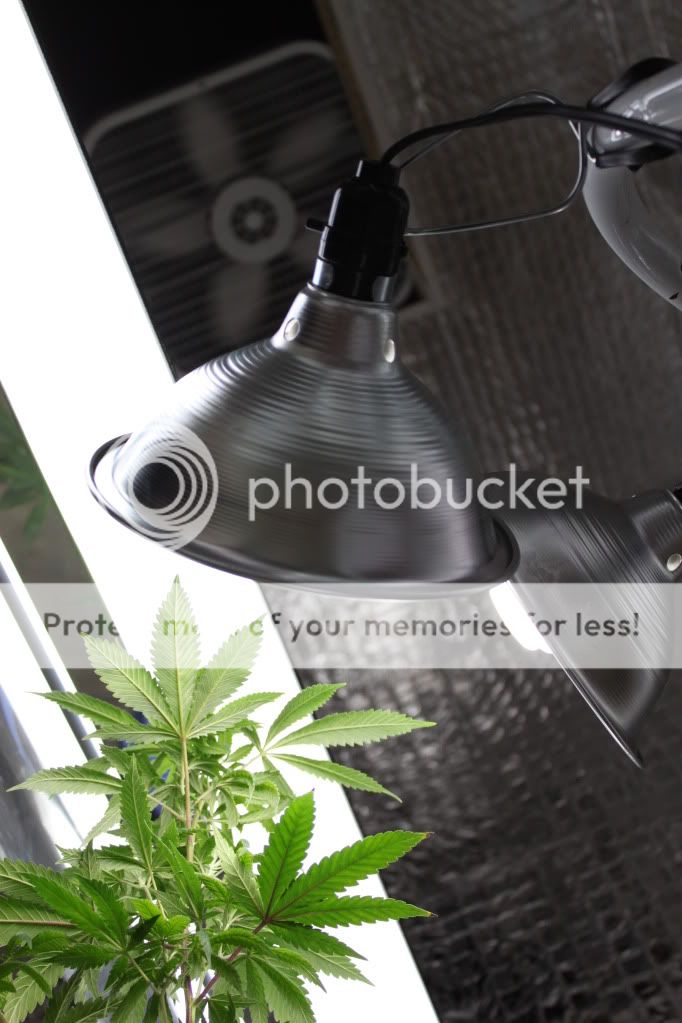 GrowRoom212112.jpg