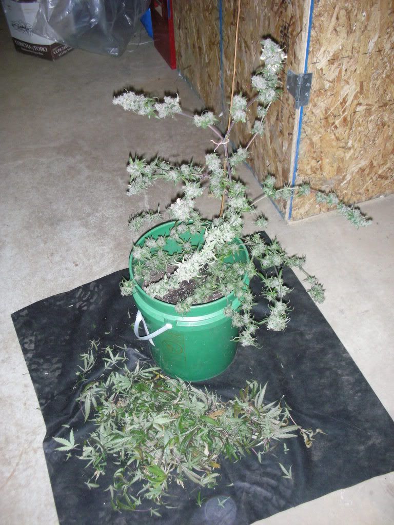 DSCN4054.jpg