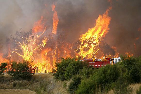 truckfire.jpg