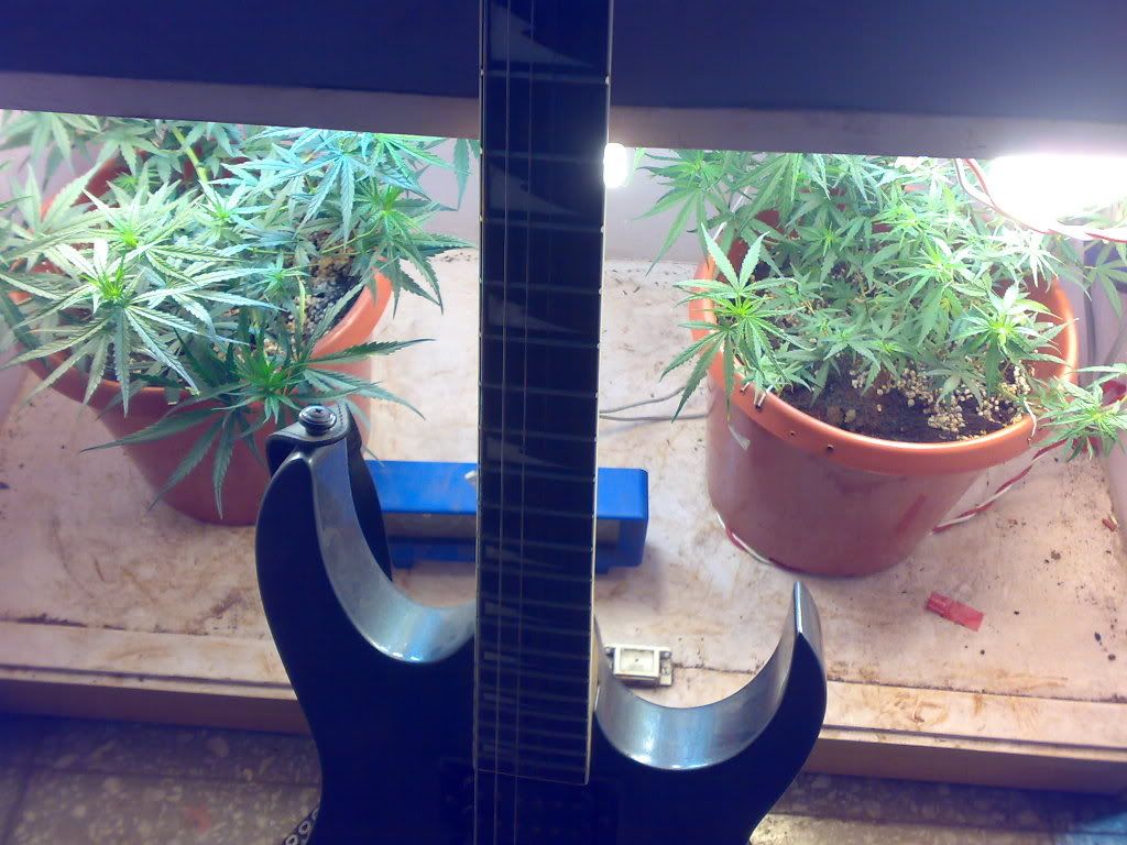 10022009603.jpg