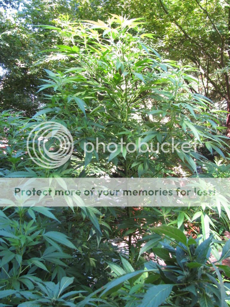 IMG_1841.jpg