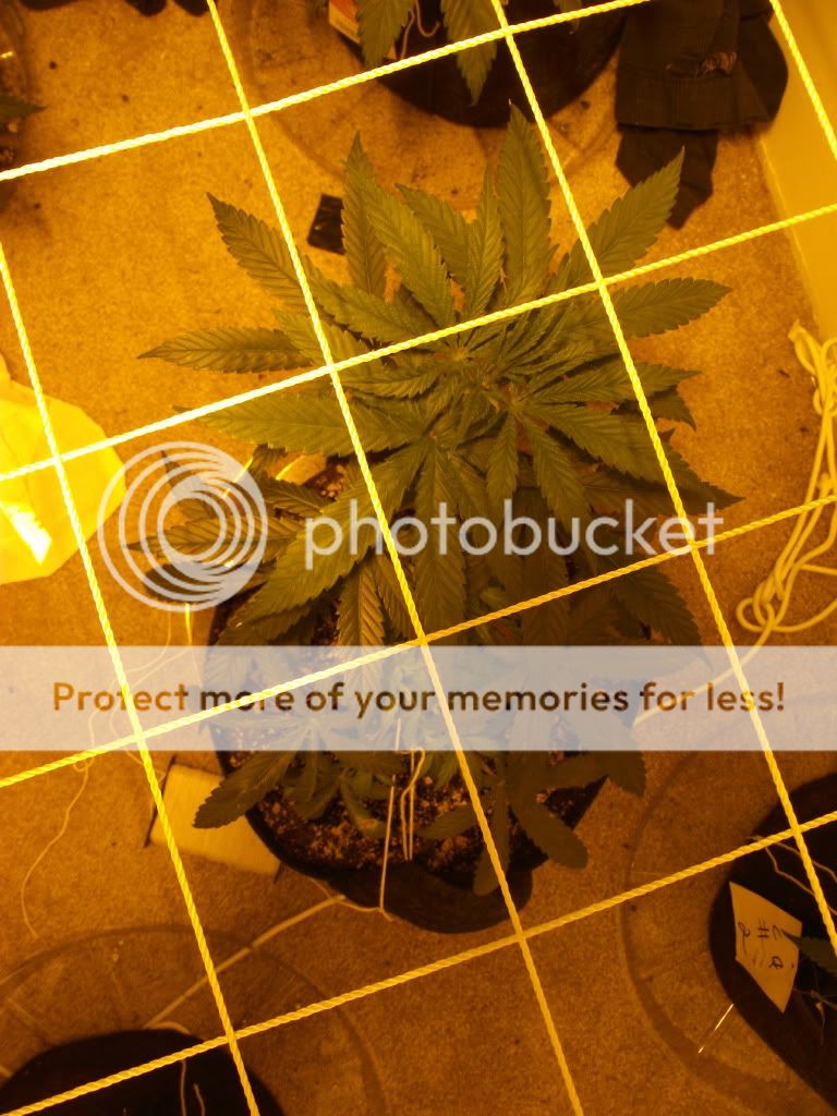 DSCF3058.jpg