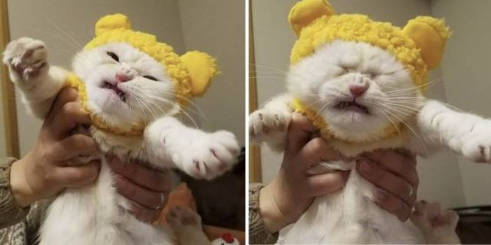 acid_picdump_08.jpg