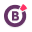 borgenproject.org