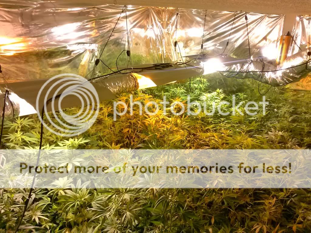 CAM00410_zps99c9bda4.jpg