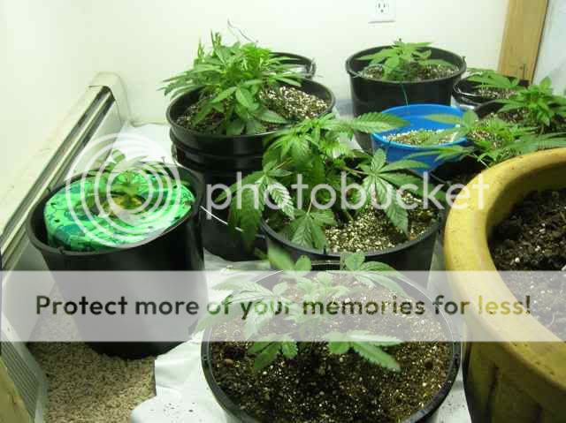 DSCN1096.jpg